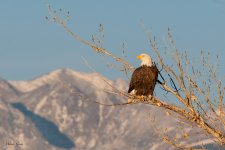 EagleMountain-242.jpg