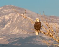 EagleMountain-243.jpg