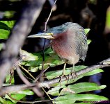 DSC_2204_001.JPG