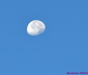 DSC_2213_001.JPG