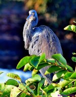 DSC_2218_001.JPG