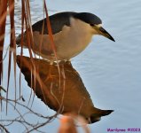 DSC_2273_001.JPG