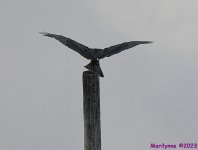 DSC_2324_001.JPG