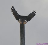 DSC_2325_001.JPG