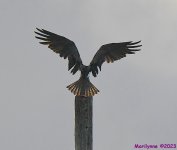 DSC_2326_001.JPG