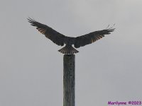 DSC_2327_001.JPG