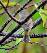 DSC_2355_001.JPG
