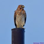 DSC_2391_001.JPG