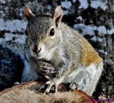 DSC_2413_001.JPG