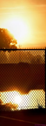 DSC_2480_stitch7_001.JPG