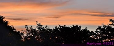 DSC_2546_stitch5_001.JPG