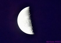 DSC_2563_001.JPG