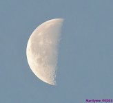DSC_2569_001.JPG