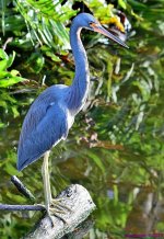 DSC_2660_001.JPG