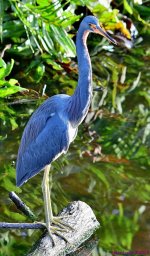 DSC_2663_001.JPG