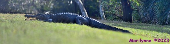 DSC_2696_stitch3_001.JPG