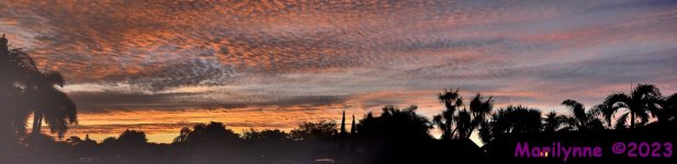 DSC_1525_stitch6_001.JPG