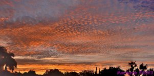 DSC_1537_stitch9_001.JPG