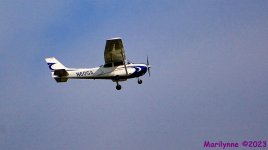DSC_1637_001.JPG