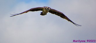 DSC_1650_001.JPG