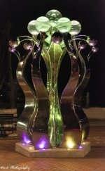 R81_1475-Light.jpg