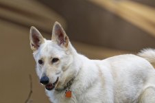 _NZ81833-NEF_DxO_DeepPRIMEXD_DxO.jpg