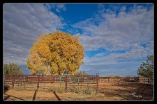 12-20-23__7507308_20231220_ 154504-ON1-CR.jpg