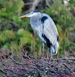 DSC_2718_001.JPG