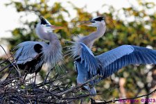 DSC_2728_001.JPG