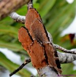 DSC_2756_001.JPG