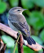 DSC_2806_001.JPG