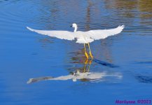 DSC_2893_001.JPG