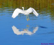 DSC_2897_001.JPG