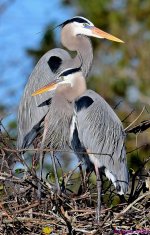 DSC_3121_001.JPG