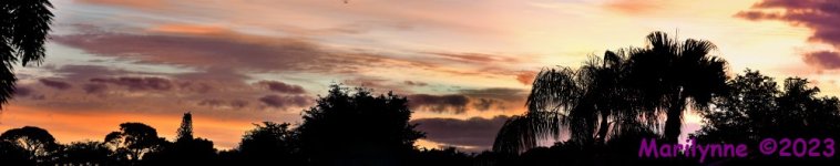 DSC_3172_stitch8_001.JPG