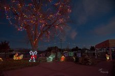 28-12-23__7507319_20231228_ 174859-ON1-CR.jpg