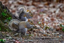 _DAB6414-topaz-denoiseraw-sharpen-2.jpg