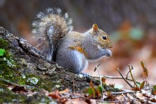 _DAB6455-topaz-denoiseraw-sharpen-2.jpg