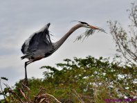 DSC_3254_001.JPG