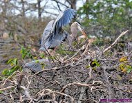 DSC_3273_001.JPG