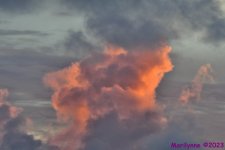DSC_3291_001.JPG