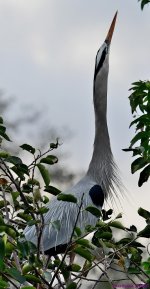 DSC_3302_001.JPG