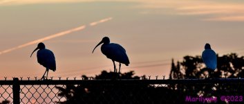 DSC_3370_stitch_001.JPG