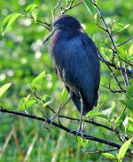 DSC_3434_001.JPG