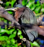 DSC_3559_001.JPG