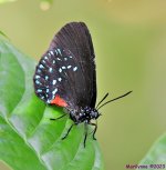 DSC_3584_001.JPG