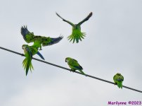 DSC_3659_001.JPG