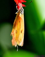 DSC_3759_001.JPG