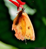 DSC_3760_001.JPG