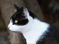 2024-01-07_15-33-51GT.png